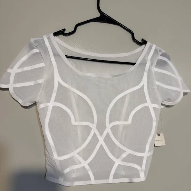 top Anthropologie Tops | Anthropologie White Sheer Mesh Crop Top With Paneled Detail | Color: White | Size: S | Olayaclaudia28's Closet Poshmark $40