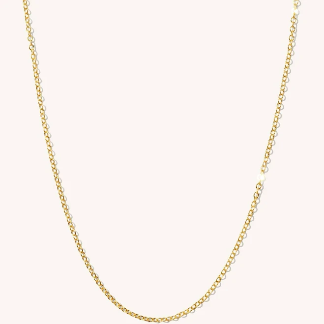 accessory Dainty Chain Necklace Simple & Dainty $57