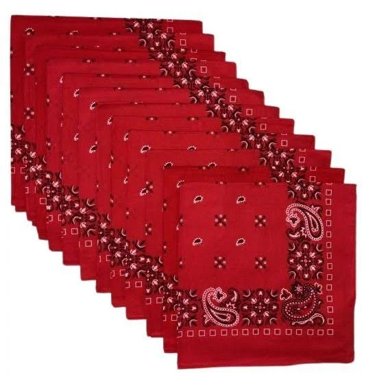 accessory Paisley Cotton Bandanas (12 PK) BurlapFabric.com $14.99