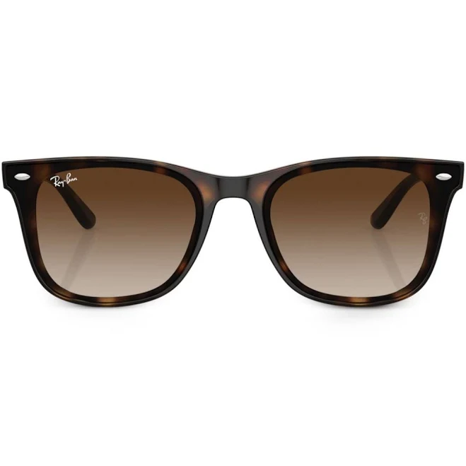 Ray-Ban RB4420 Sunglasses