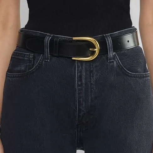 Aritzia Wide Leather Belt with Accent