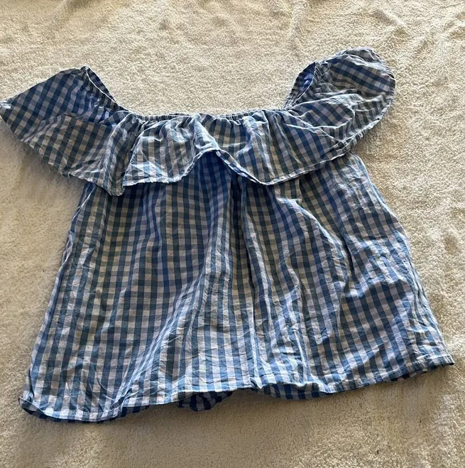 Gingham Blue And White Off Shoulder Cropped Blouse Ambiance M