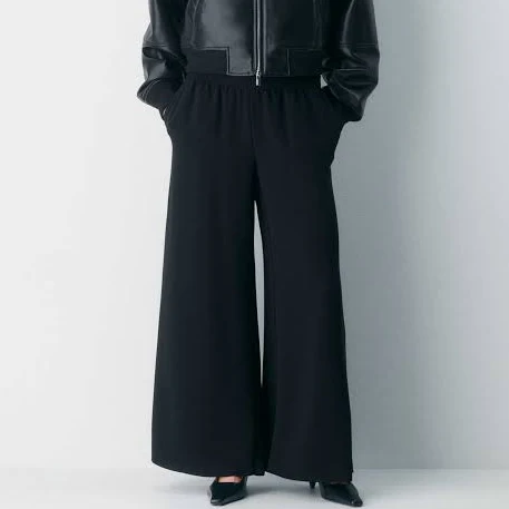 Aritzia Babaton Parker Palazzo Pants