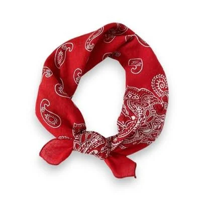 accessory Anna-Kaci Cotton Paisley Bandana Scarf Target $16.1