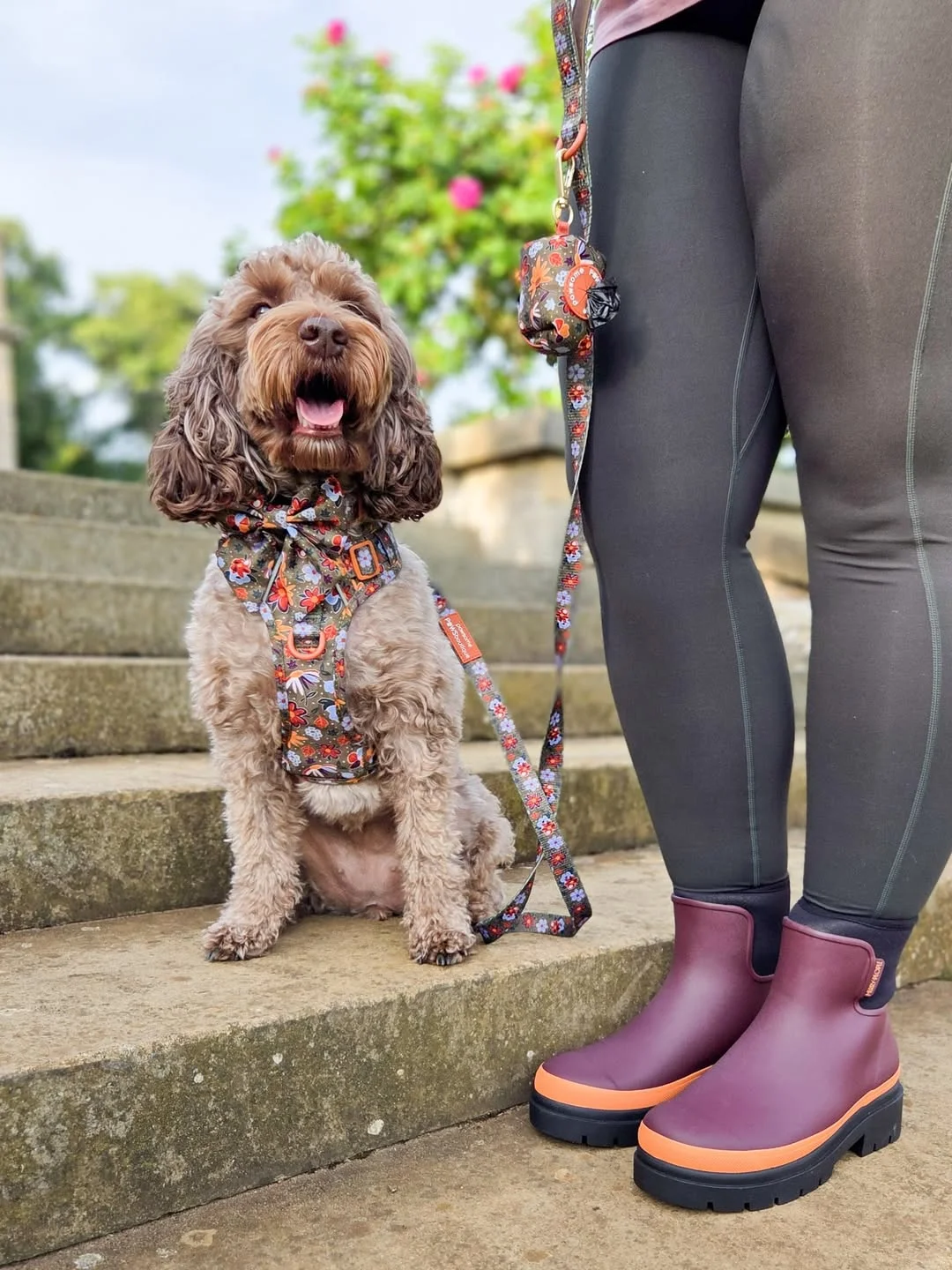fall outfits with boots and leggings 2026 Everyday Dog Walk Style with Colorful Rain Boots