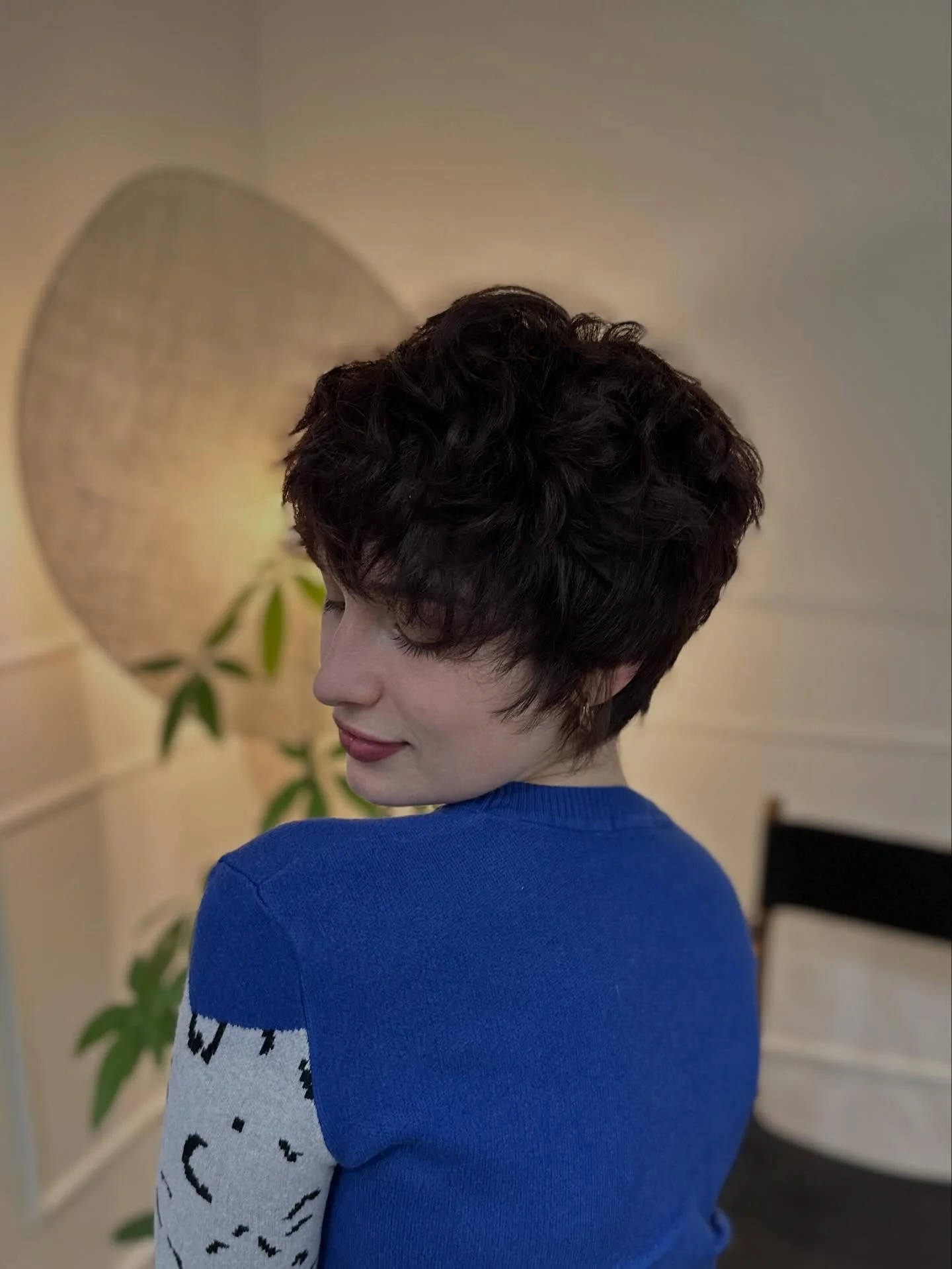 fall pixie haircut ideas 2026 Soft Tousled Pixie With Airy Texture