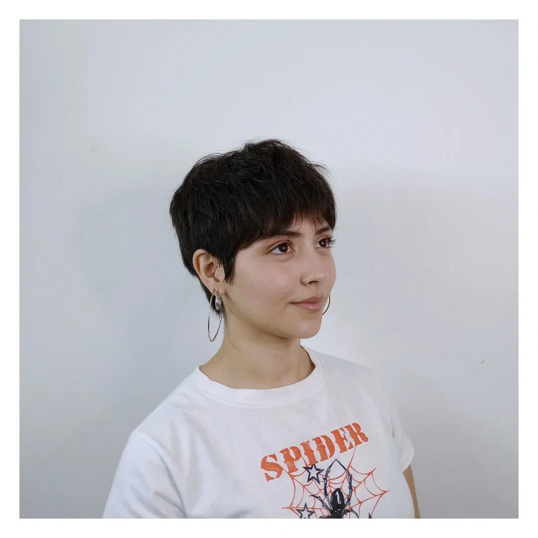 fall pixie haircut ideas 2026 Classic Soft Pixie With Everyday Simplicity