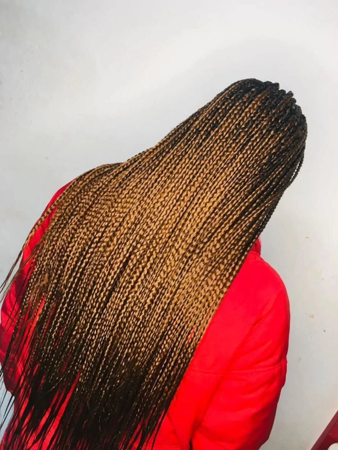 goddess braid Classic Jumbo Honey Braids with Sleek Length