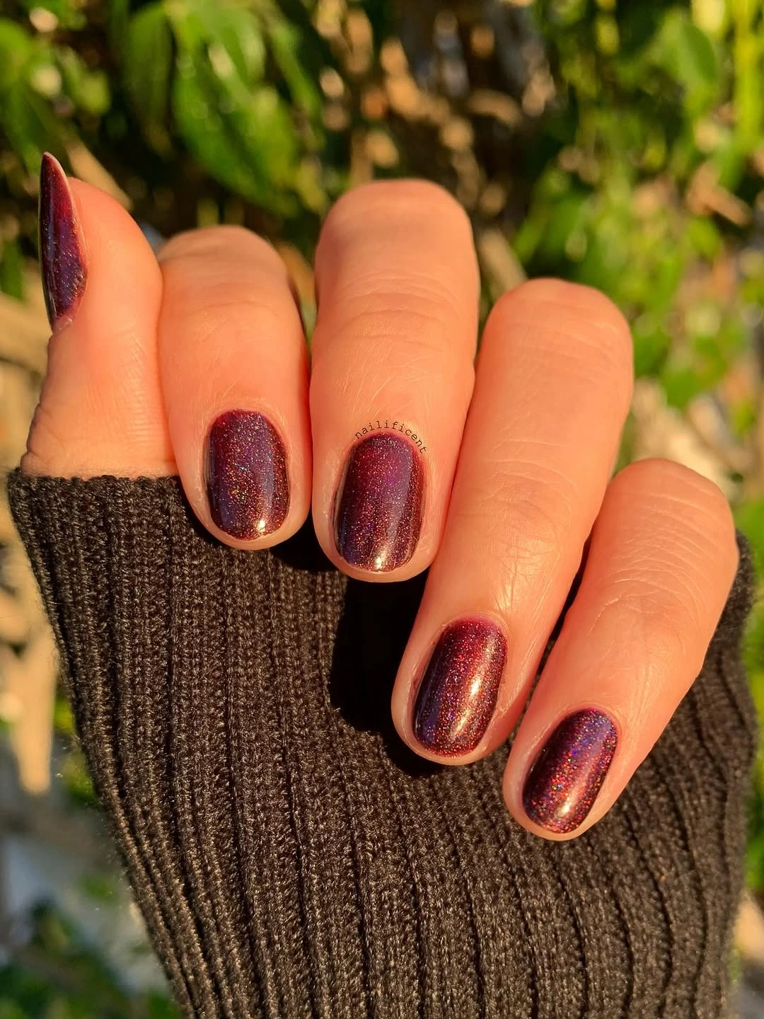 September nails color 2026 Shimmering Plum Short Nails