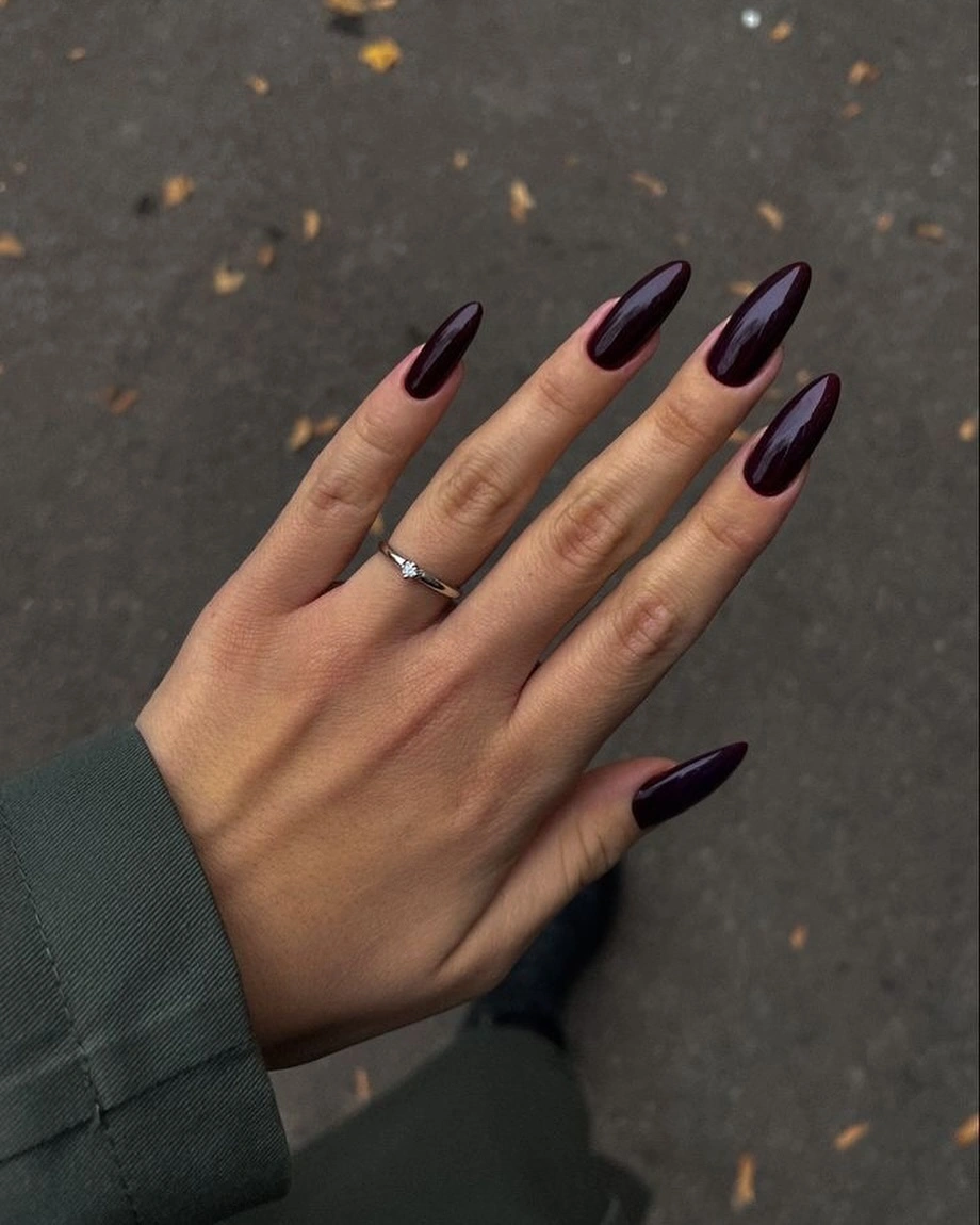 Smoky plum black pointed nails with a glossy highlight