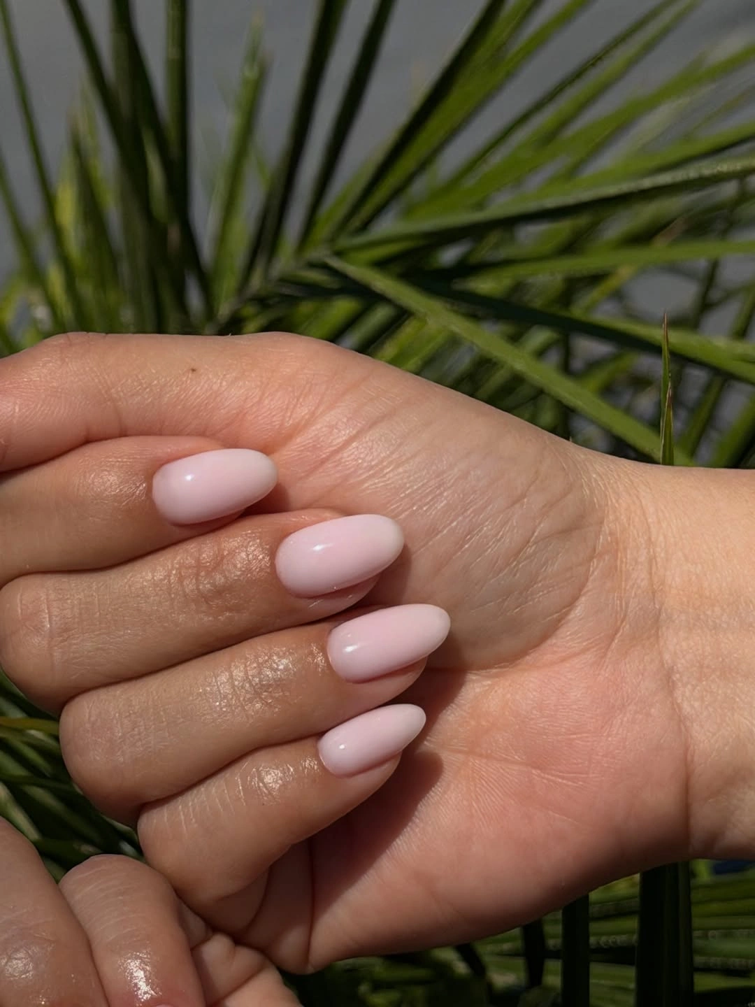 Simple milky pink almond nails