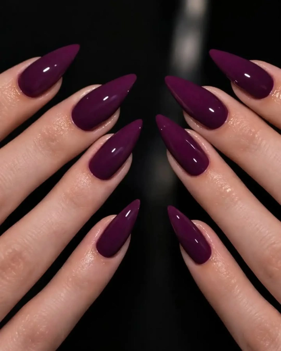 Deep plum stiletto nails with glossy fall color