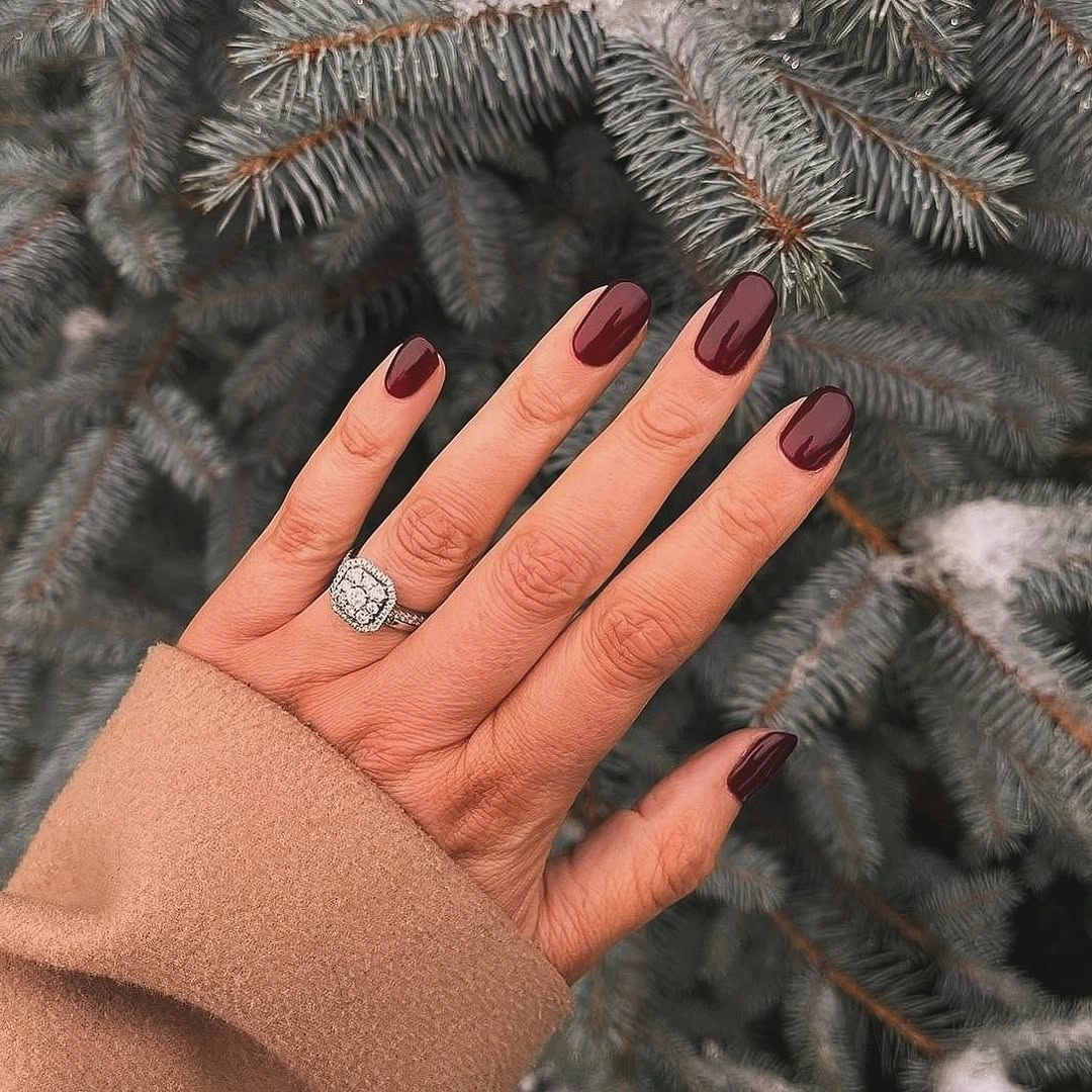 Short oval nails in rich glossy plum brown
