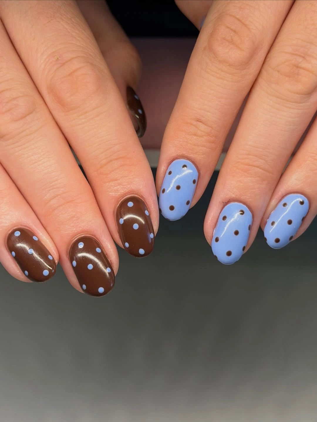 Chocolate and blue dotted short fall nails