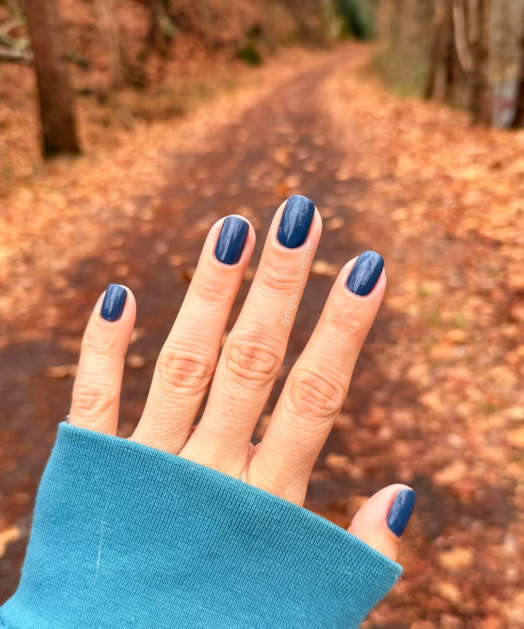 Simple deep navy short rounded fall nails