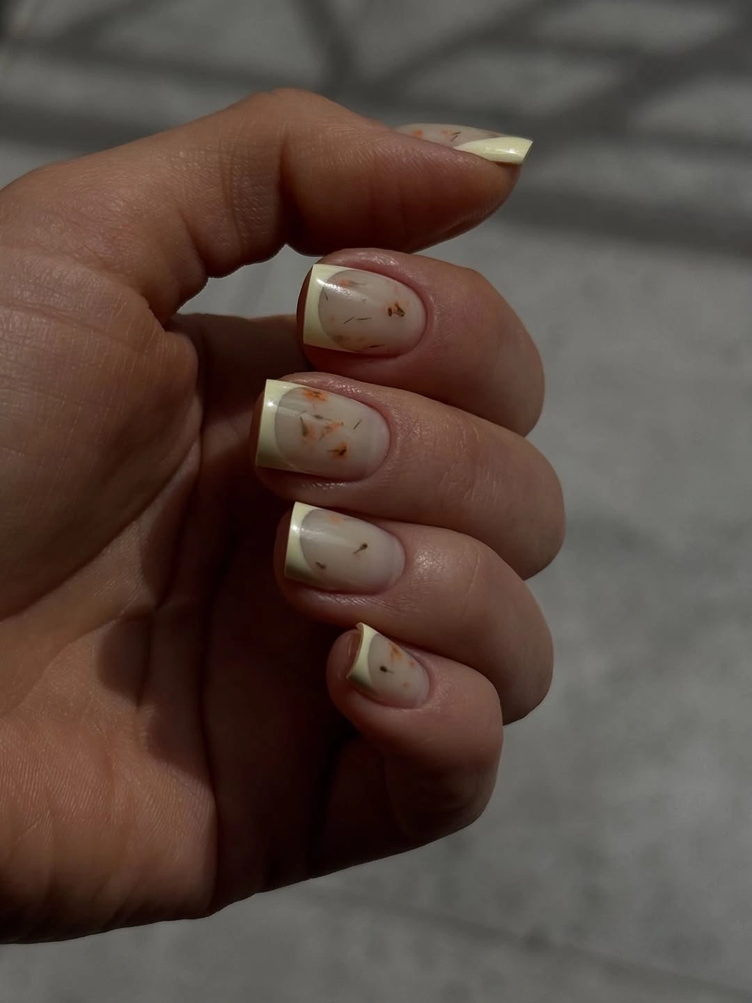 short translucent nude nails with tiny subtle warm flecks