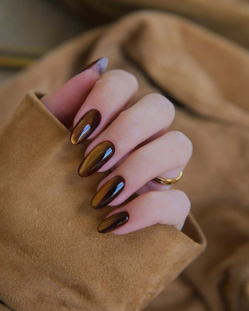 Golden Cat-Eye Warm Brown Almonds Golden Cat-Eye Warm Brown Almonds — Winter Nail Colors