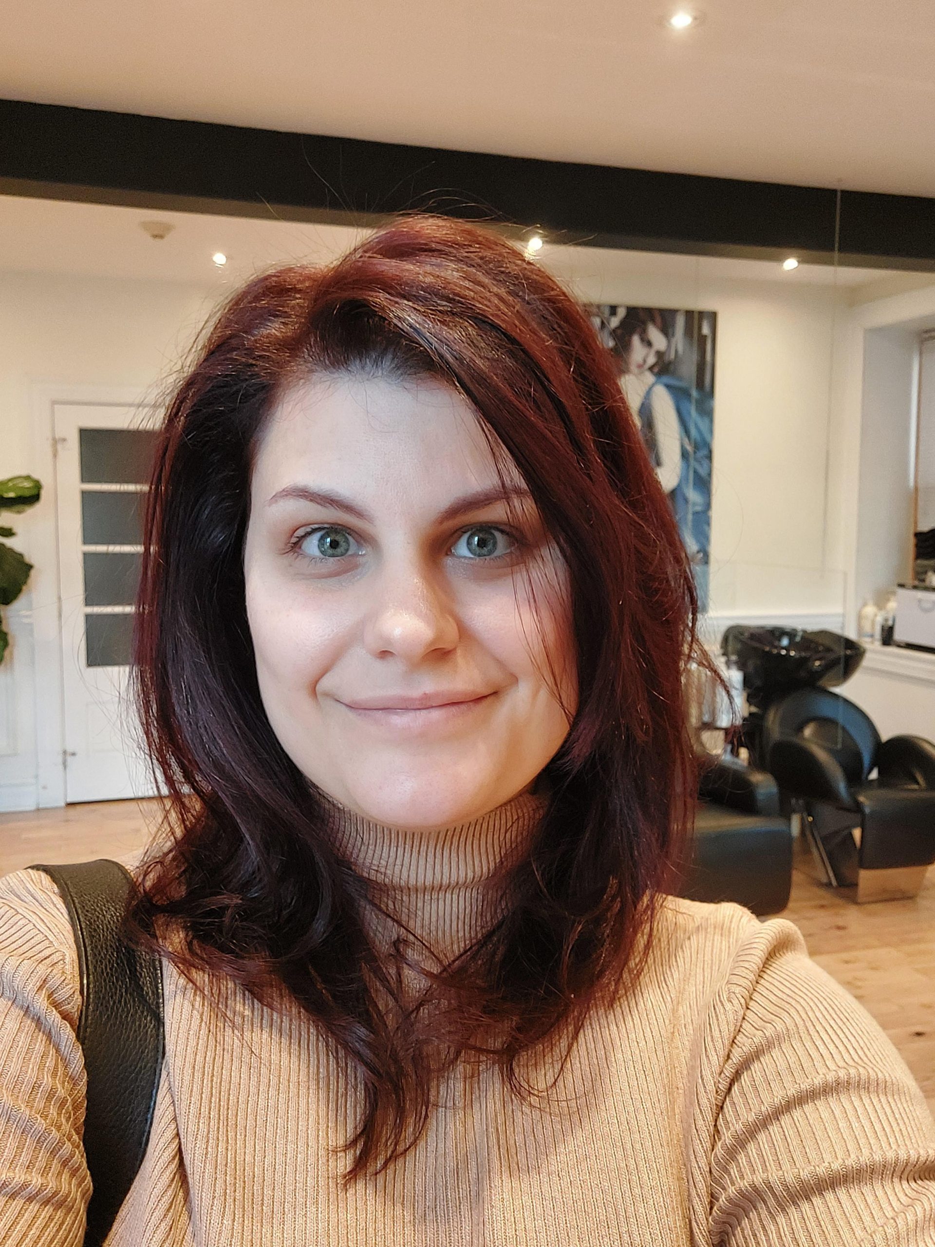 Dark Brown With Subtle Red Tones Dark Brown With Subtle Red Tones — Winter Hair Colors for Green Eyes