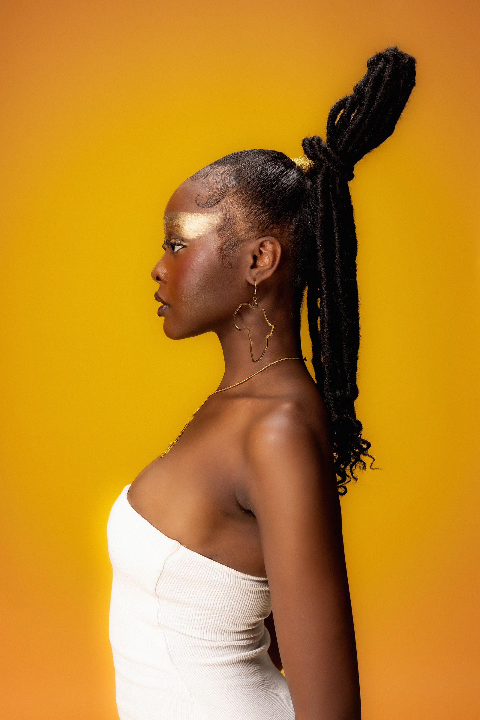 High Ponytail with Slicked Back Texture High Ponytail with Slicked Back Texture — Winter Loc Styles