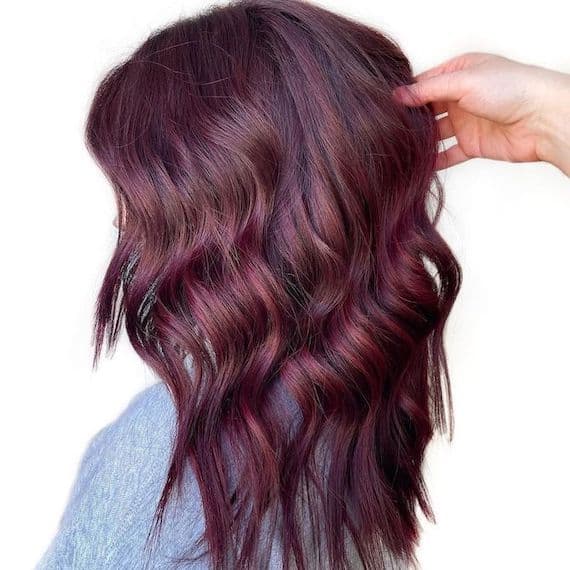 Deep Plum Brown With Reddish-Purple Tones Deep Plum Brown With Reddish-Purple Tones — Dark Winter Hair Colors