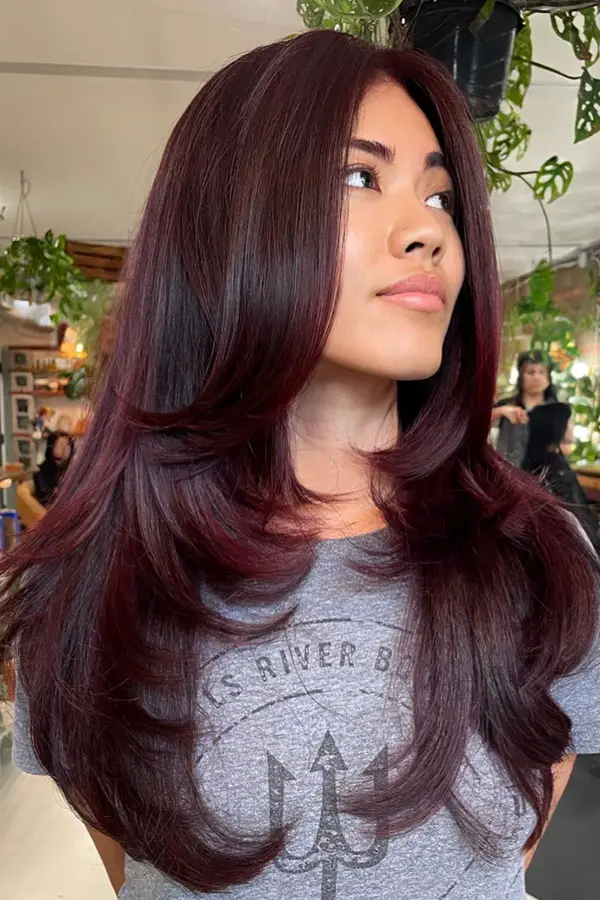 Burgundy Visual Idea Burgundy Visual Idea — Burgundy Hair Color