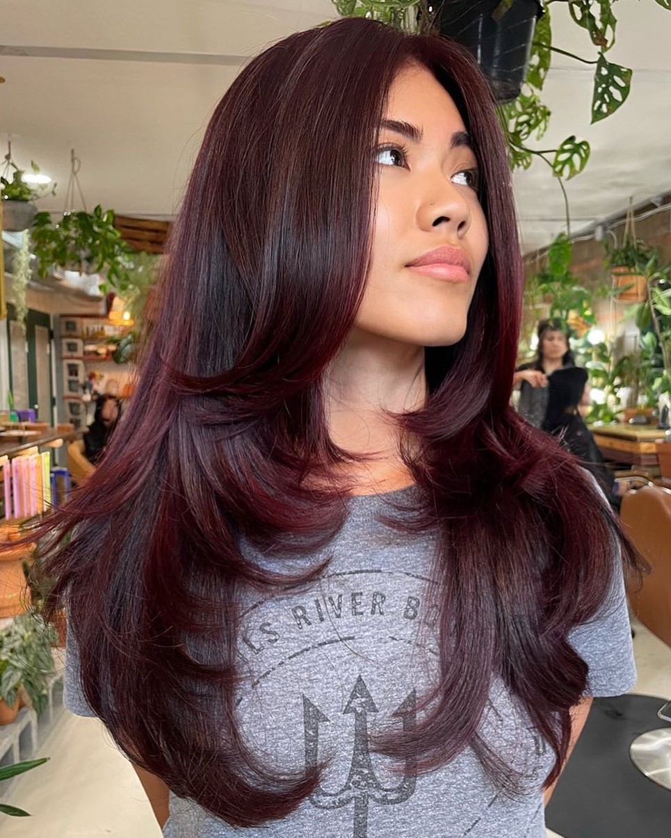 Deep Burgundy Blowout with Soft Waves Deep Burgundy Blowout with Soft Waves — Winter Red Hair Colors