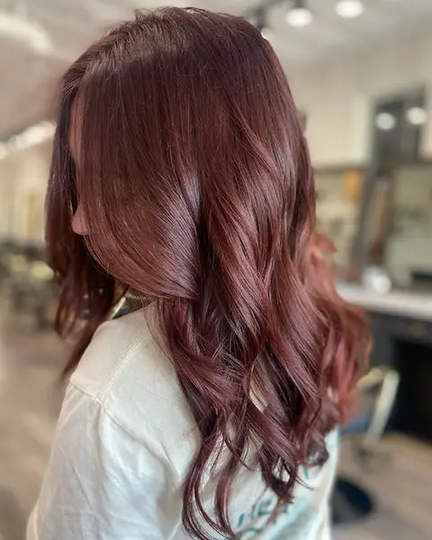 Collarbone Deep Mahogany With Burgundy Hue Collarbone Deep Mahogany With Burgundy Hue — Mahogany Hair Color