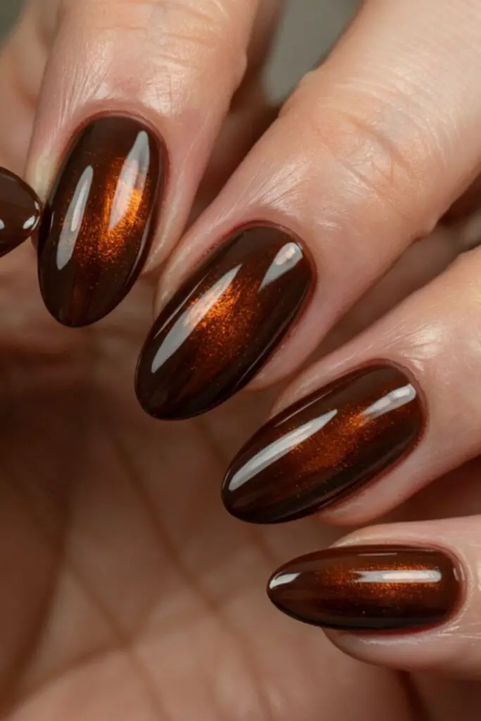 Deep Brown Cat-Eye Shimmer — Brown Nail Designs