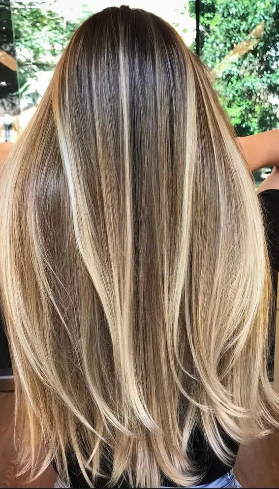 Mid-Back Visual Idea Mid-Back Visual Idea — Blonde to Brunette Hair
