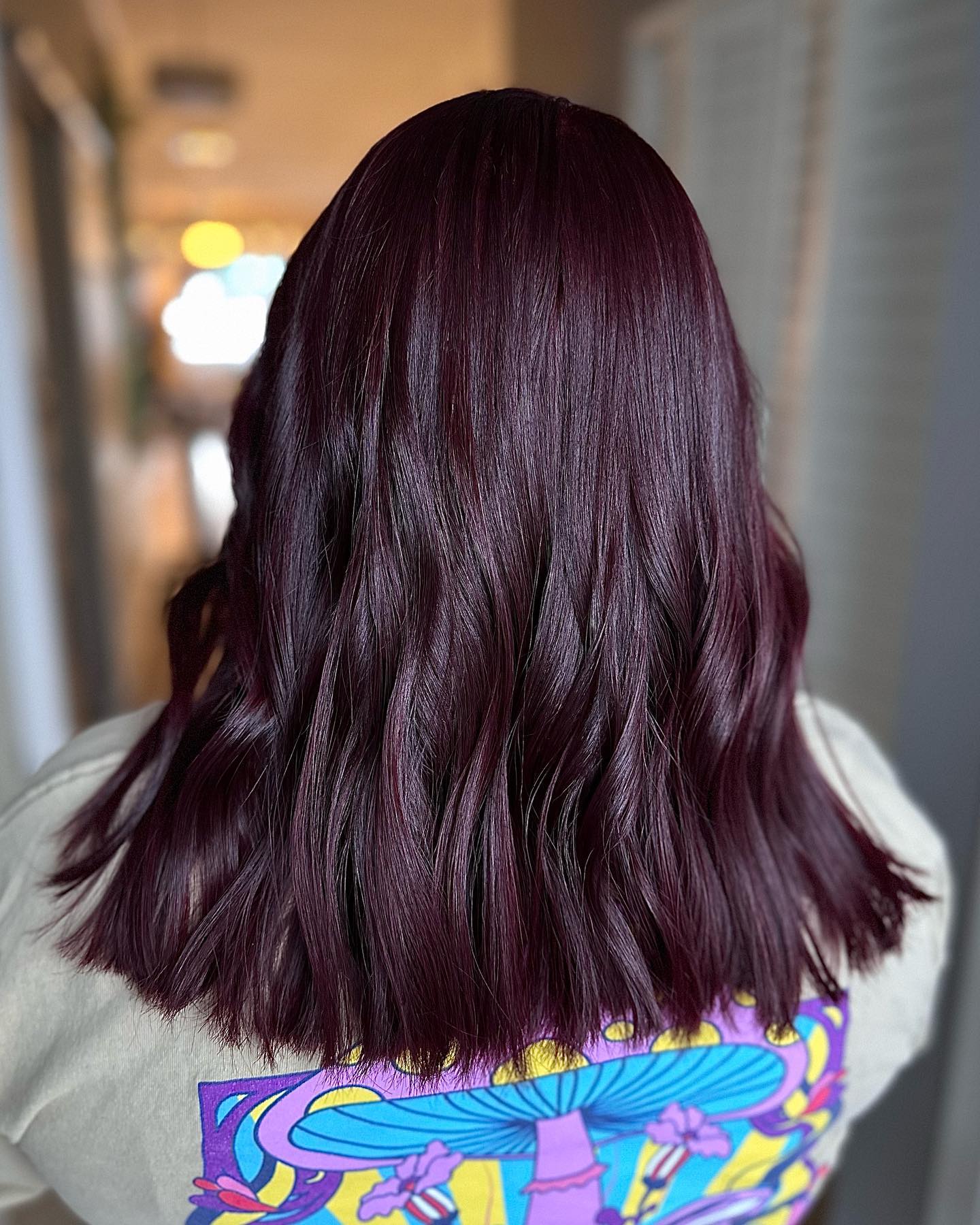 Deep Black Cherry Plum Visual Idea Deep Black Cherry Plum Visual Idea — Plum Hair Color