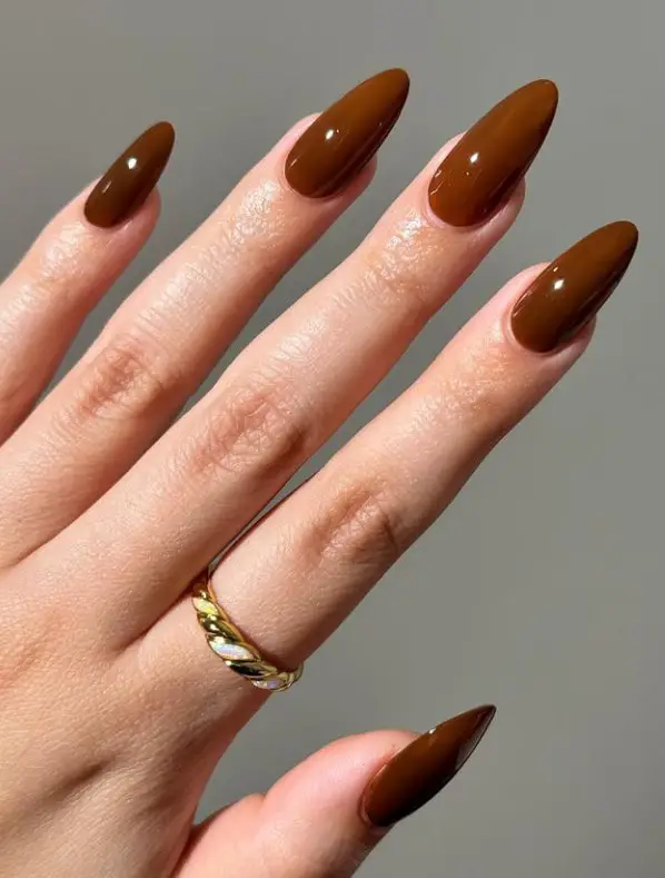 Deep Glossy Brown Long Stiletto Nails Deep Glossy Brown Long Stiletto Nails — Winter Nail Colors for Women Over 40