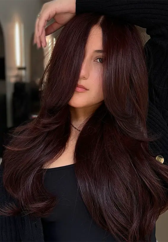 No Bangs Rich Plum Brown With Reddish-Purple Tones No Bangs Rich Plum Brown With Reddish-Purple Tones — Dark Winter Hair Colors