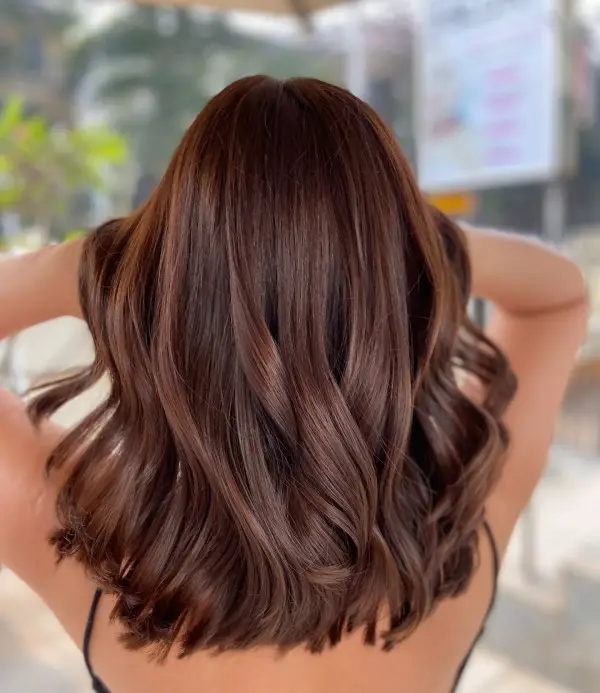 Chestnut Brown With Seamless Balayage Blend Chestnut Brown With Seamless Balayage Blend — Chestnut Brown Hair