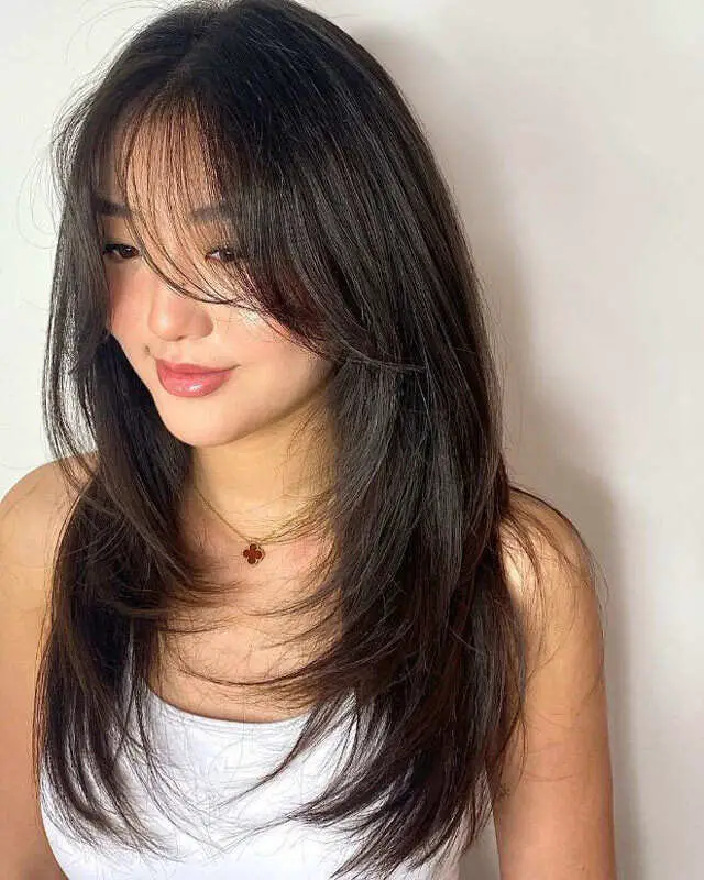 Mid-Back Smooth Blowout With Face-Framing Layers Mid-Back Smooth Blowout With Face-Framing Layers — Winter Layered Haircuts