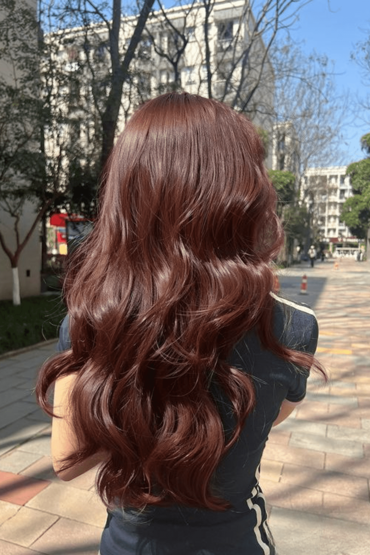 Collarbone Dark Auburn with Dimension Collarbone Dark Auburn with Dimension — True Winter Hair Color