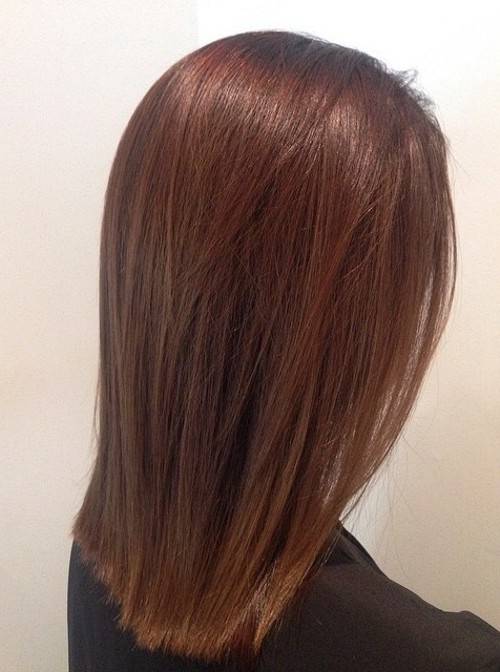 Sleek Chin-Length Blunt Bob Sleek Chin-Length Blunt Bob — Chestnut Brown Hair