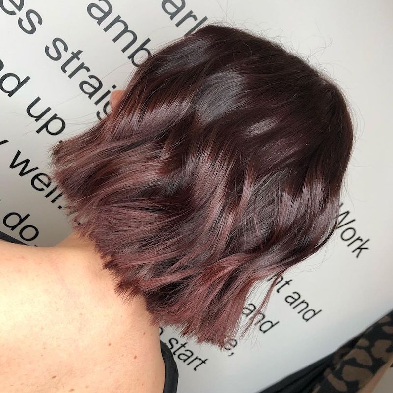 Dark Mahogany Blunt Bob Dark Mahogany Blunt Bob — Mahogany Hair Color