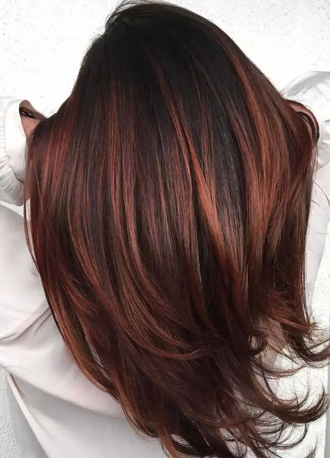 Back View Visual Idea Back View Visual Idea — Winter Hair Colors for Brunettes