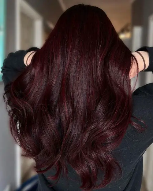 Rich Deep Burgundy Hue — Deep Winter Hair Color