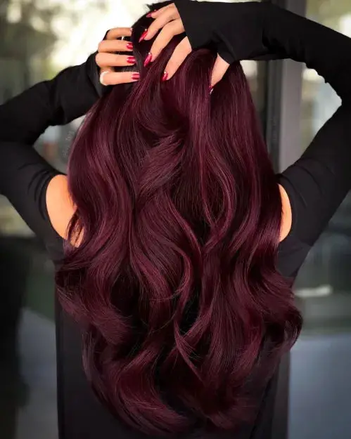 Back View Visual Idea Back View Visual Idea — Burgundy Hair Color