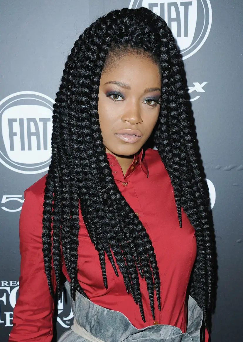 Long Chunky Black Braids — Winter Twist Hairstyles