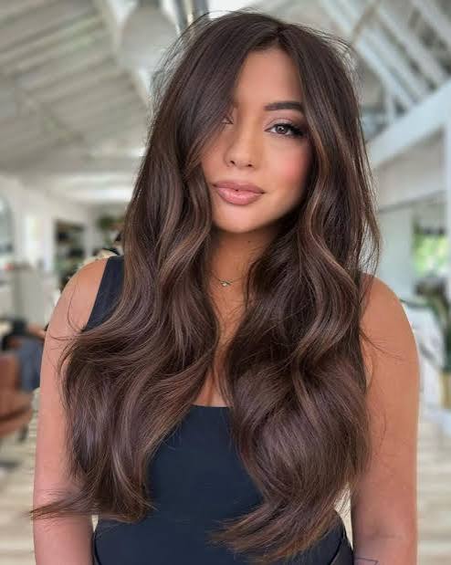 Dark Brown with Caramel Highlights Dark Brown with Caramel Highlights — Winter Brown Hair Colors