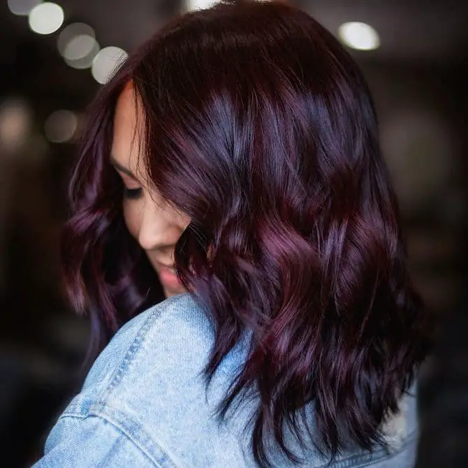 Rich Dark Plum Brown Hue Deep Plum Brown With Reddish Tones Rich Dark Plum Brown Hue Deep Plum Brown With Reddish Tones — Dark Winter Hair Colors