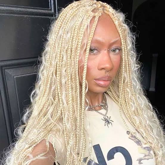 Platinum Blonde Braids With Textured Ends Platinum Blonde Braids With Textured Ends — Winter Knotless Braids