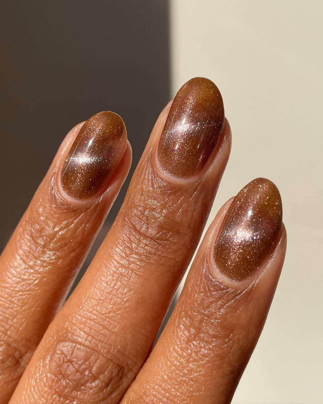 Shimmery Brown with Pink Undertones Shimmery Brown with Pink Undertones — Winter Nail Colors for Dark Skin