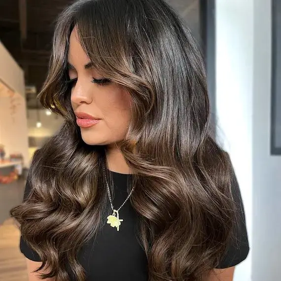 Voluminous Blowout With Caramel Highlights Voluminous Blowout With Caramel Highlights — Winter Hair Colors for Brown Eyes
