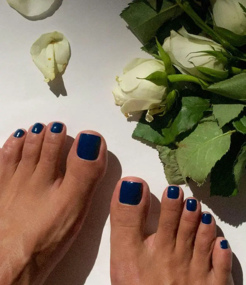 Both Feet Close Macro Deep Glossy Navy Blue — Winter Pedicure Colors