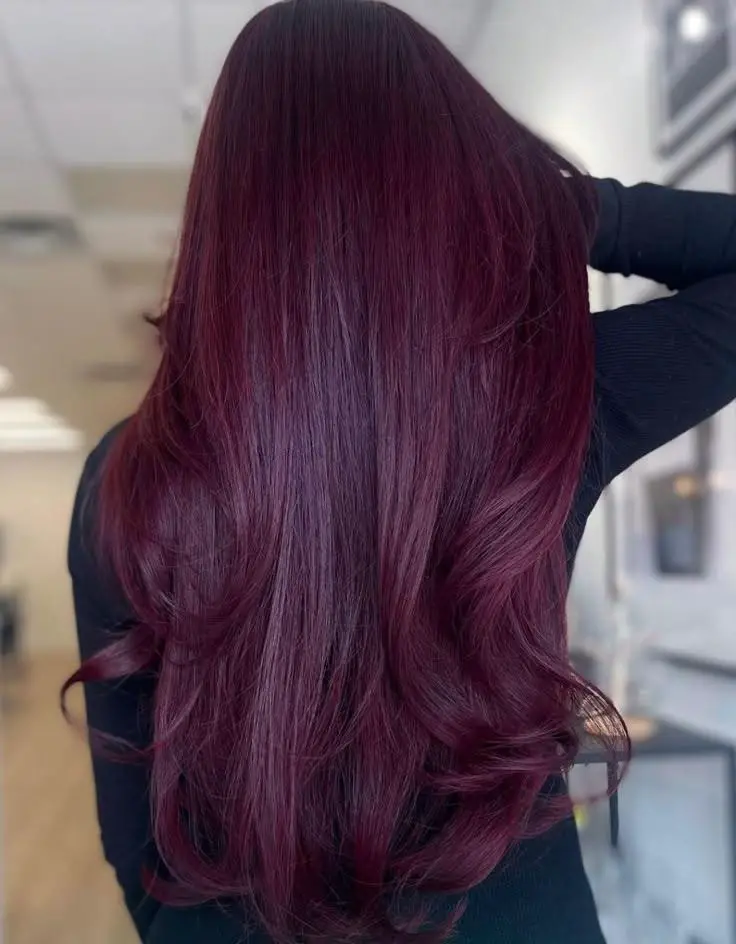 Middle Visual Idea Middle Visual Idea — Burgundy Hair Color