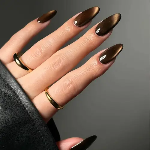 Deep Brown Golden Cat-Eye Nails Deep Brown Golden Cat-Eye Nails — Winter Acrylic Nail Colors