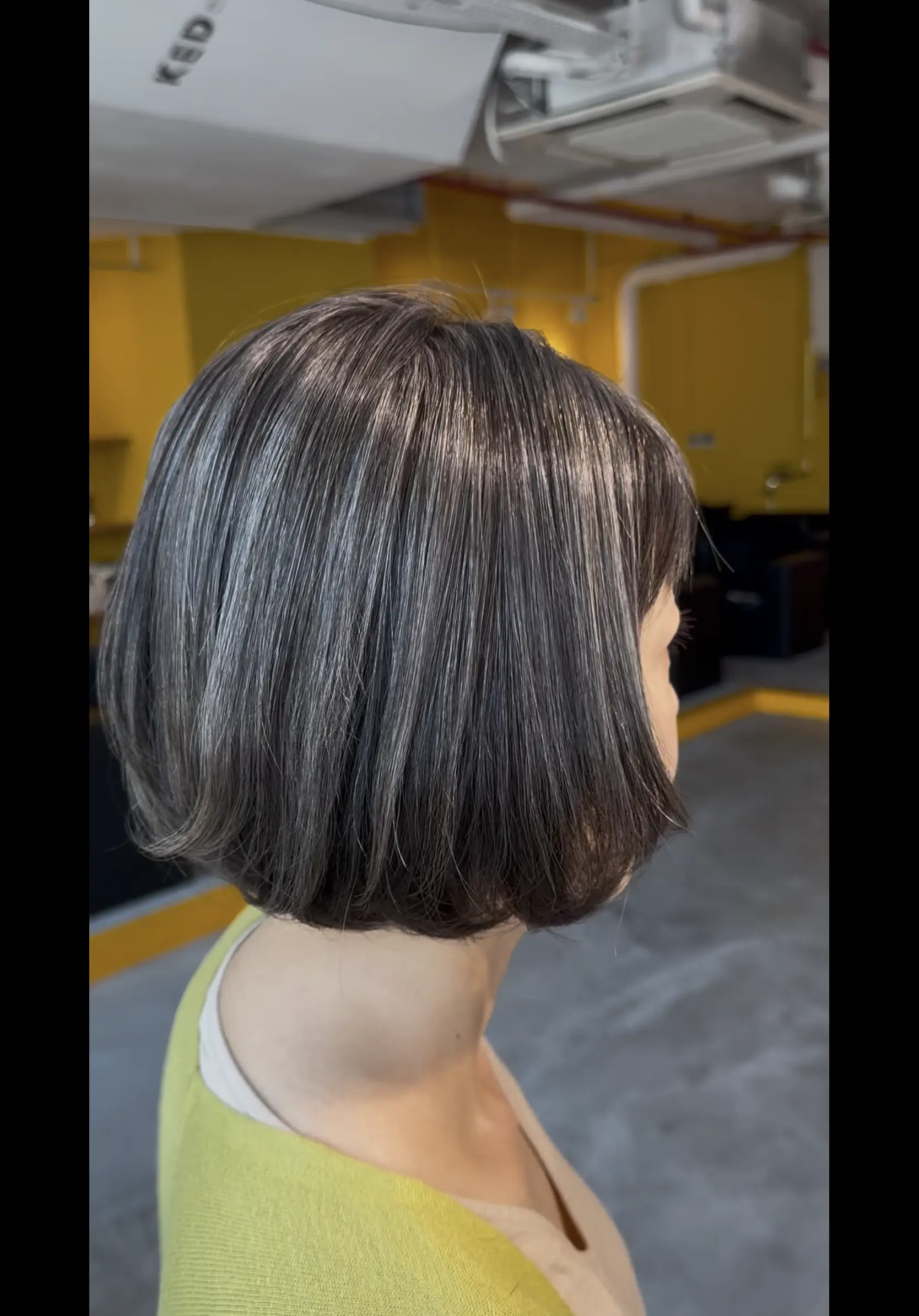 Chin-Length Bob With Gray Blending Highlights Chin-Length Bob With Gray Blending Highlights